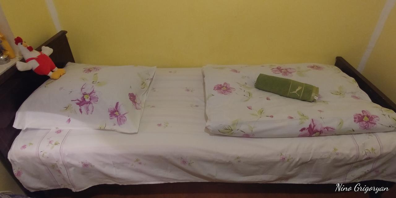 Guest House Nise Tbilisi Esterno foto